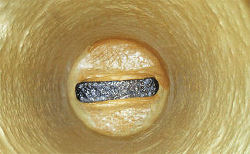 Poly-Triplex Liner