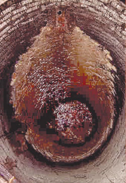 Poly-Triplex Liner